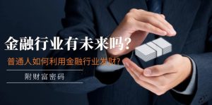 公众号付费文章:金融行业有未来吗?普通人如何利用金融行业发财?(附财富密码)-聊项目