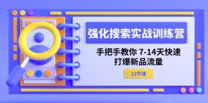 (11557期)强化 搜索实战训练营,手把手教你 7-14天快速-打爆新品流量(13节课)-聊项目