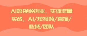 AI短视频创业,实体流量实战,AI/短视频/直播/私域/团队-聊项目