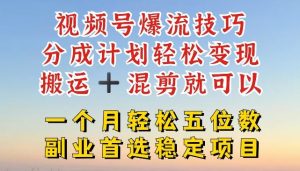 视频号爆流技巧,分成计划轻松变现,搬运 +混剪就可以,一个月轻松五位数稳定项目【揭秘】-聊项目