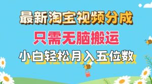 (11744期)最新淘宝视频分成,只需无脑搬运,小白也能轻松月入五位数,可矩阵批量…-聊项目