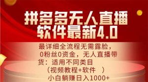(11891期)拼多多无人直播软件最新4.0,最详细全流程无需露脸,0粉丝0资金, 小白…-聊项目