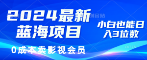 (11894期)2024最新蓝海项目,0成本卖影视会员,小白也能日入3位数-聊项目