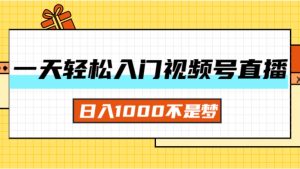 (11906期)一天入门视频号直播带货,日入1000不是梦-聊项目