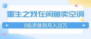 (11962期)重生之我在闲鱼卖空调,0投资做到月入过万,迎娶白富美,走上人生巅峰-聊项目