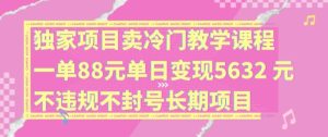 独家项目卖冷门教学课程一单88元单日变现5632元违规不封号长期项目【揭秘】-聊项目