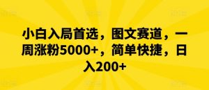 小白入局首选,图文赛道,一周涨粉5000+,简单快捷,日入200+-聊项目