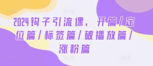 2024钩子引流课,开篇/定位篇/标签篇/破播放篇/涨粉篇-聊项目