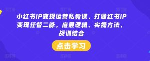 小红书IP变现运营私教课,打通红书IP变现任督二脉,底层逻辑、实操方法、战训结合-聊项目