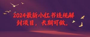 2024最新小红书违规解封项目,长期可做,一个可以做到退休的项目【揭秘】-聊项目