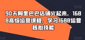 90天阿里巴巴店铺火起来,1688高级运营课程,学习1688运营核心技能-聊项目