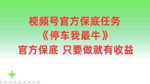 视频号官方保底任务,停车我最牛,官方保底只要做就有收益【揭秘】-聊项目