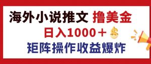 (12333期)最新海外小说推文撸美金,日入1000+ 蓝海市场,矩阵放大收益爆炸-聊项目
