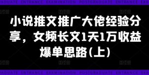 小说推文推广大佬经验分享,女频长文1天1万收益爆单思路(上)-聊项目