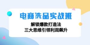 (12398期)电商选品实战班:解锁爆款打造法,三大思维引领利润飙升-聊项目