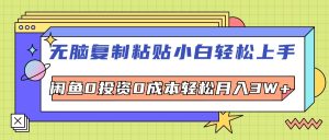 (12431期)无脑复制粘贴,小白轻松上手,电商0投资0成本轻松月入3W+-聊项目