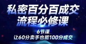 私密百分百成交流程线上训练营,绝对成交,让60分卖手也能100分成交-聊项目