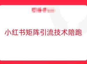 小红书矩阵引流技术,教大家玩转小红书流量-聊项目