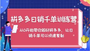 拼多多日销千单训练营,从0开始带你做好拼多多,让日销千单可以快速复制-聊项目