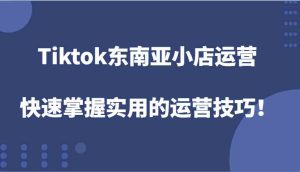 Tiktok东南亚小店运营,快速掌握实用的运营技巧!-聊项目