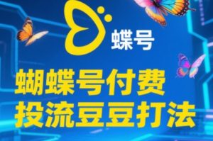 渔财老师·2025蝴蝶号付费投流豆豆打法-聊项目