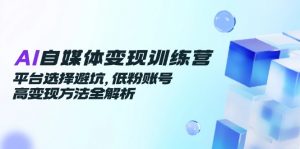 AI自媒体变现训练营，平台选择避坑，低粉账号高变现方法全解析-聊项目