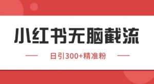 小红书截流同行客源,独家野路子获客玩法 日引200+暴力获客【揭秘】-聊项目