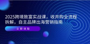 2025跨境致富实战课,收并购全流程拆解,自主品牌出海营销指南-聊项目
