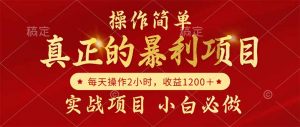 真正的暴利项目,操作简单,每天收益1200+,自己做老板-聊项目