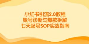 小红书引流2.0教程，账号诊断与爆款拆解，七天起号SOP实战指南-聊项目