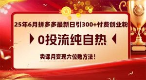 25年6月拼多多最新日引300+付费创业粉,0投流纯自热 卖课月变现六位数方法-聊项目