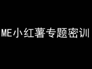 ME小红薯专题密训-小红书电商教程-聊项目