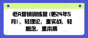 老A营销训练营(更25年6月),轻理论,重实战,轻概念,重本质-聊项目