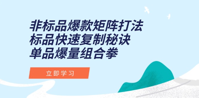 非标品爆款矩阵打法，标品快速复制秘诀，单品爆量组合拳-聊项目