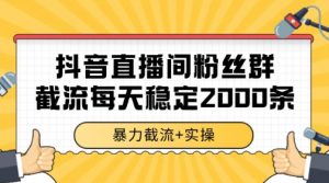 抖音直播间粉丝群暴力截流,一台电脑每天稳定2000条数据【揭秘】-聊项目