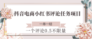 抖音电商小红书评论任务项目,一个评论0.5,一单一结 不限量-聊项目