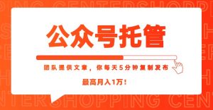 【公众号托管 】我提供文章,你每天5分钟复制发布,最高月入1W-聊项目