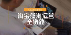 淘宝蓝海运营全链路，从选品到流量变现，小类目突围完整方案-聊项目