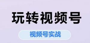 玩转视频号，视频号实战系列课-聊项目