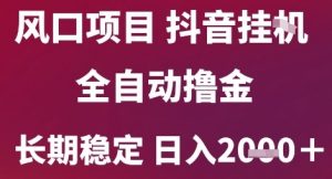 风口项目,六月最新玩法抖音无人挂G,全自动撸金,长期稳定 日入2k+【揭秘】-聊项目