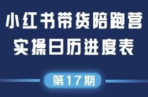 盗坤·抖音小红书视频号短视频带货与直播变现(11-17期)-聊项目