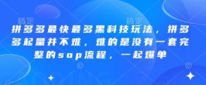 拼多多最快最多黑科技玩法,拼多多起量并不难,难的是没有一套完整的sop流程,一起爆单(更新6月)-聊项目