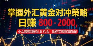掌握外汇黄金对冲策略,日赚 800 – 2000,小众高回报创业机会,助你实…-聊项目