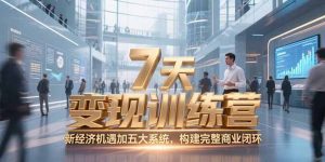 7天咨询师变现训练营,新经济机遇加五大系统,构建完整商业闭环-聊项目
