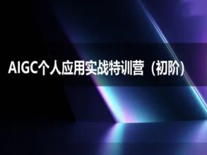 AIGC个人实战应用特训营(初阶班)-deepseek思考力2025-聊项目