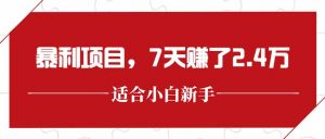 最新暴利项目，每单收益轻松在300以上，7天赚了2.4万-聊项目