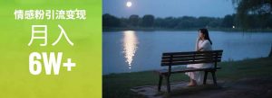 情感粉引流变现实操课：单月变现6w+，情感粉引流变现实操课-聊项目