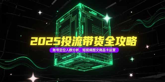 2025投流带货全攻略，账号定位人群分析，短视频图文商品卡运营-聊项目