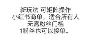 可矩阵操作，小红书商单新玩法，适合所有人，无需粉丝门槛，1粉丝也可以接单-聊项目