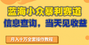 蓝海小众暴利赛道,信息查询,当天见收益,不讲玄学,7天搞了2万+-聊项目